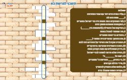 תשבץ לפרשת בא